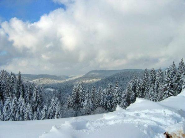Les Chenes Rouges Gérardmer Exterior foto